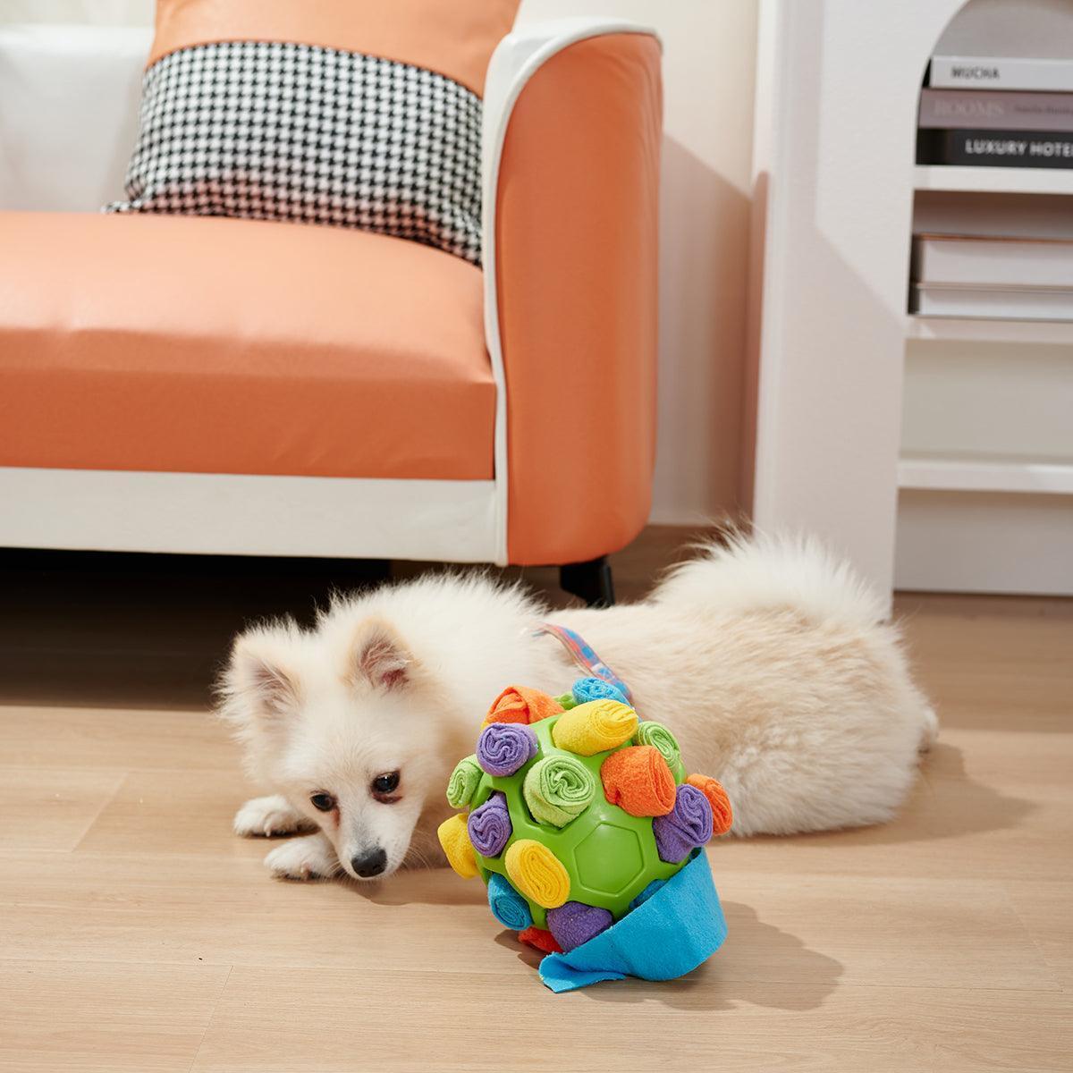 Canine IQ Challenge: Foldable Sniffing Ball CHILLSTAR