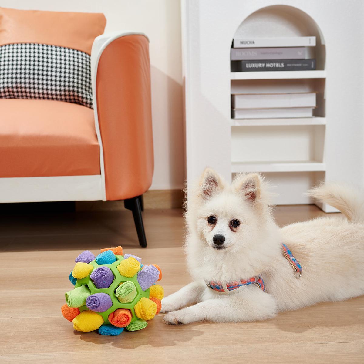 Canine IQ Challenge: Foldable Sniffing Ball CHILLSTAR