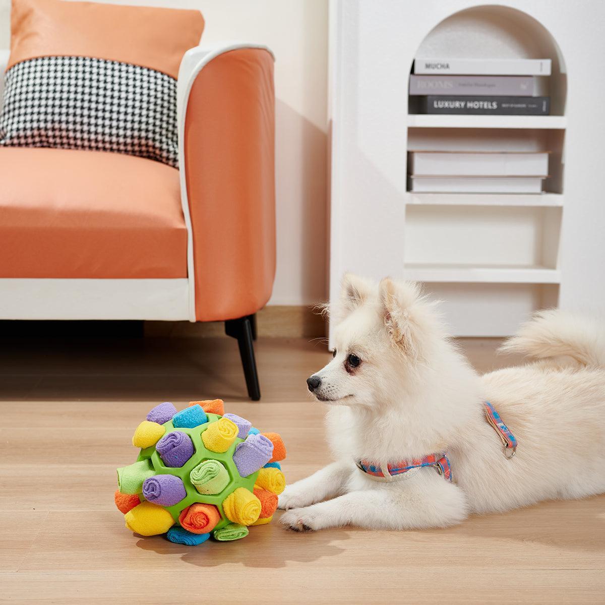 Canine IQ Challenge: Foldable Sniffing Ball CHILLSTAR