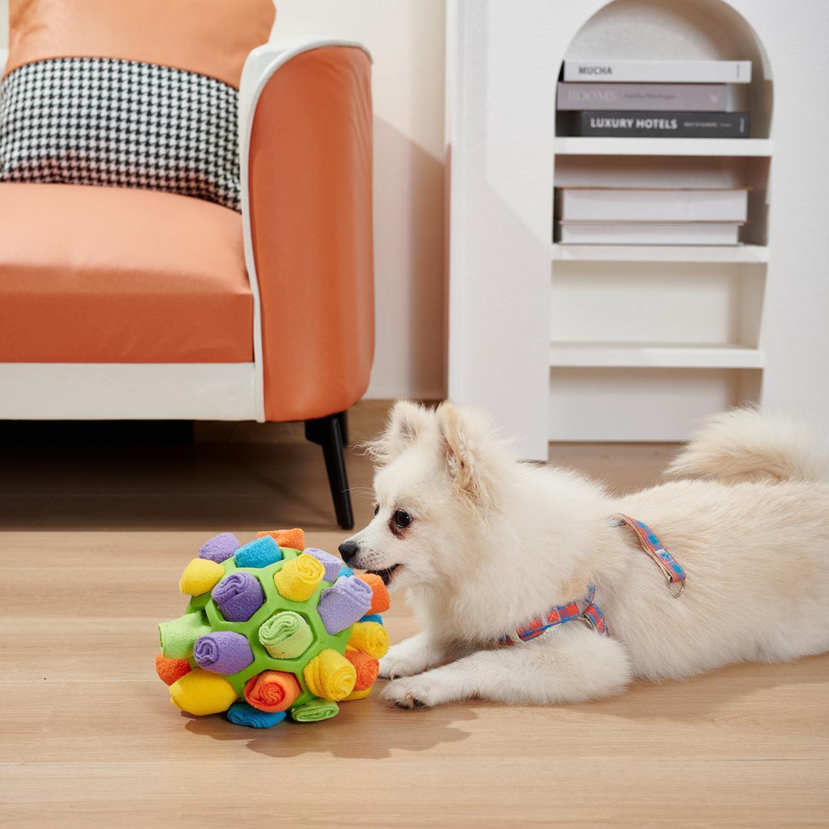 Canine IQ Challenge: Foldable Sniffing Ball CHILLSTAR