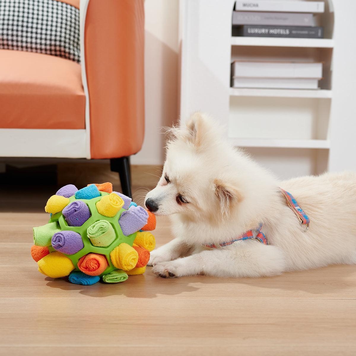 Canine IQ Challenge: Foldable Sniffing Ball CHILLSTAR