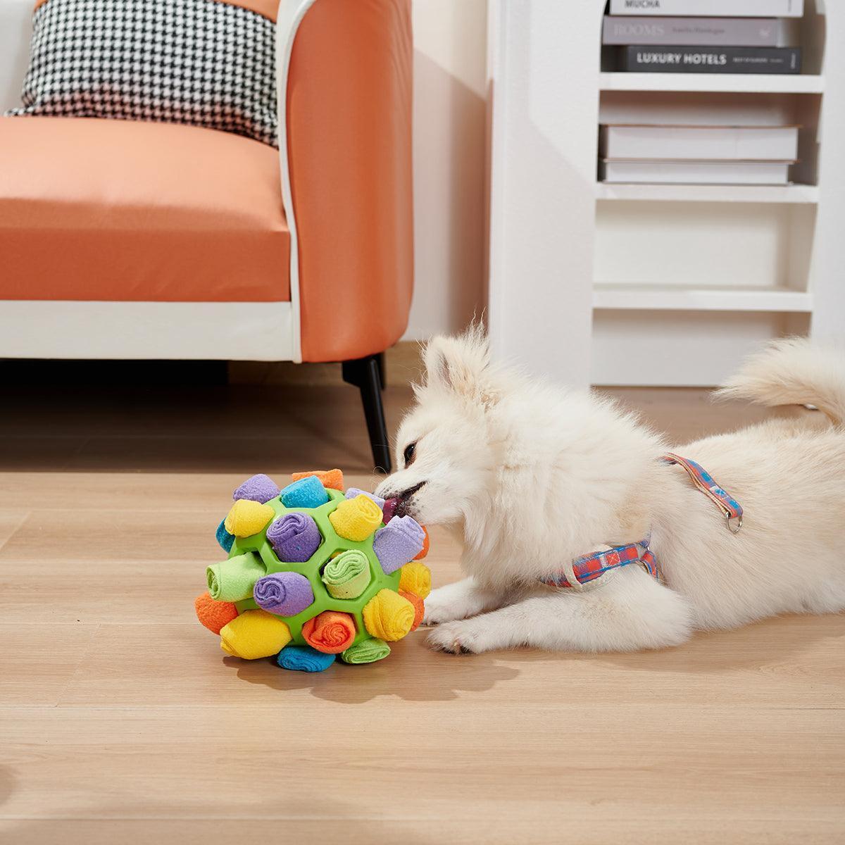 Canine IQ Challenge: Foldable Sniffing Ball CHILLSTAR