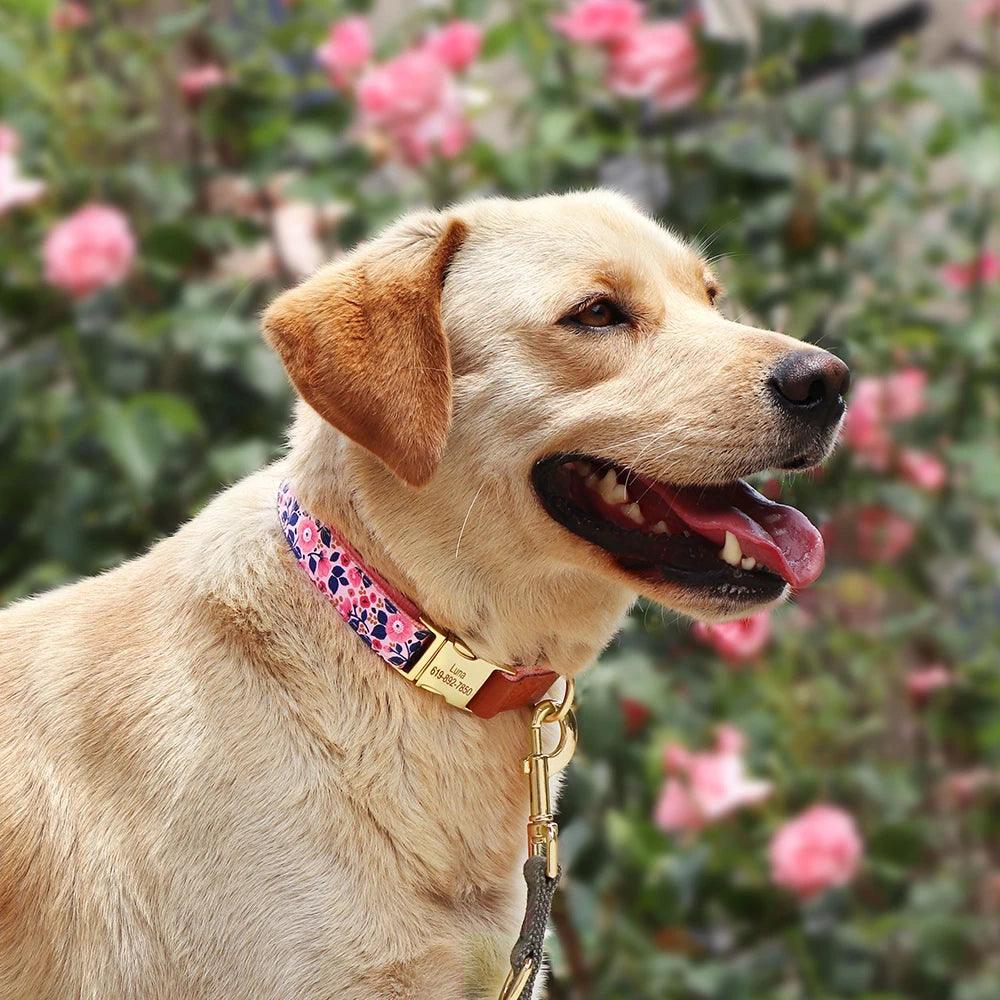 Custom Engraved Flower Dog Collar for Small, Medium, Large Dogs CHILLSTAR