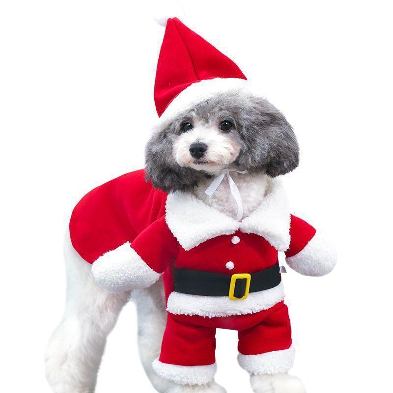 Festive Paws: Pet Christmas Standing Costume Delight CHILLSTAR