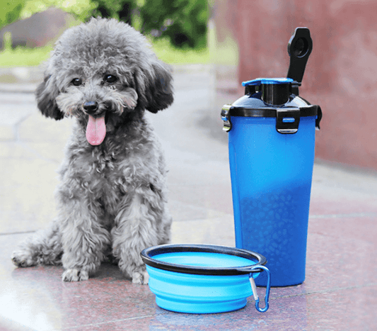 HydroPaws 2-in-1: Portable Pet Water Bottle with Silicone Bowl – Quenching Thirst On-the-Go CHILLSTAR